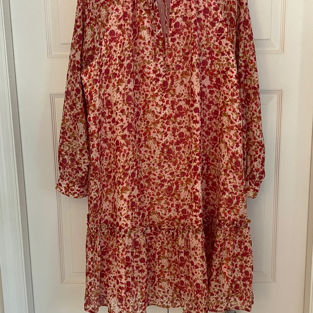 J. Crew Pink and Red Floral Chiffon Dress - Picture 9 of 11